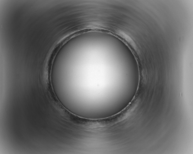 X0000089740931200707051754