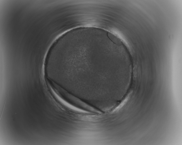 X0000089740932200707051754