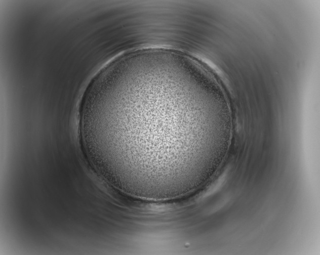 X0000089740933200707051754