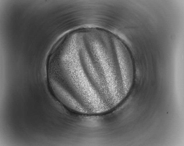 X0000089740934200707051754