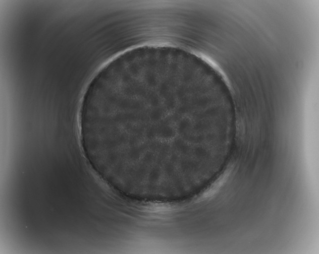 X0000089740935200707051754