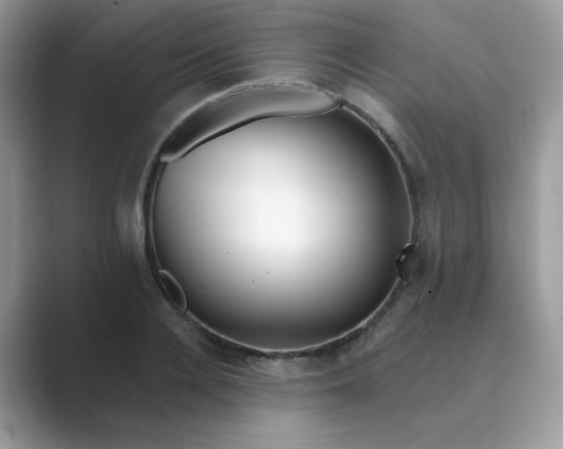 X0000089740936200707051754