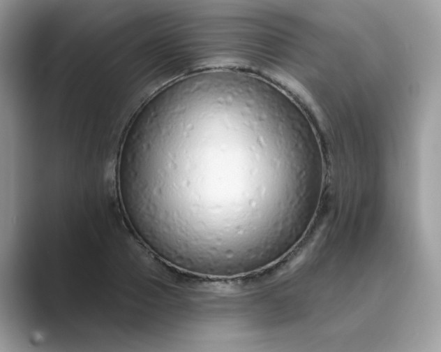 X0000089740937200707051754