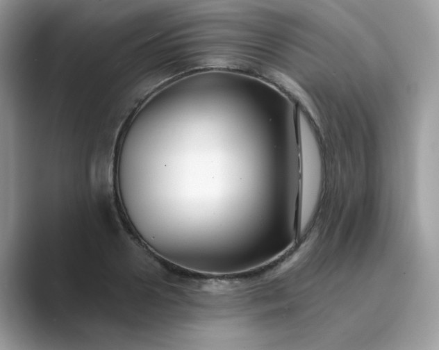 X0000089740938200707051754