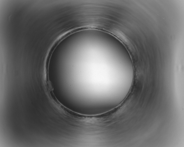 X0000089740940200707051754