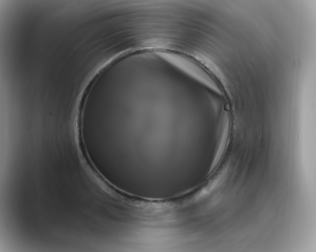 X0000089740941200707051754