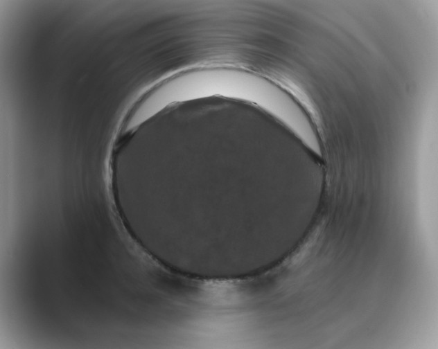 X0000089740944200707051754