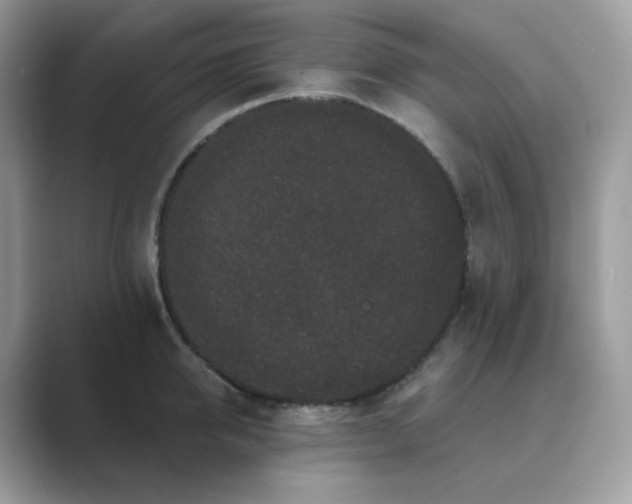 X0000089740950200707051754