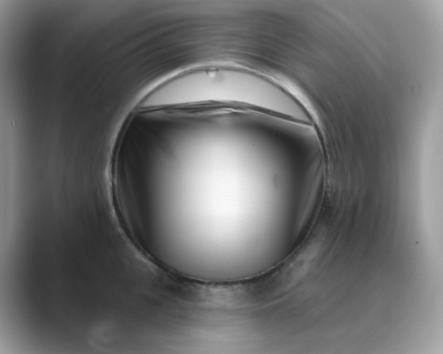 X0000089740951200707051754