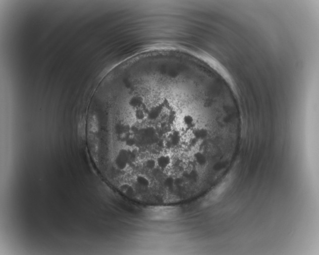 X0000089740953200707051754