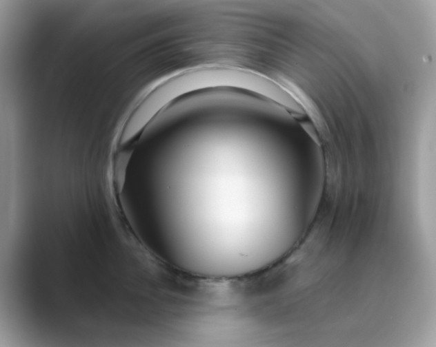 X0000089740956200707051754