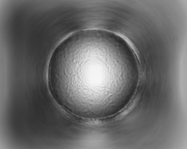 X0000089740957200707051754