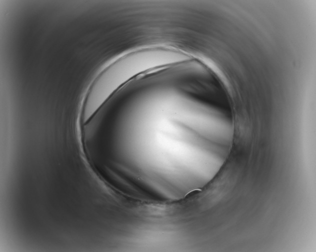 X0000089740959200707051754