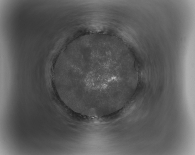 X0000089740961200707051754