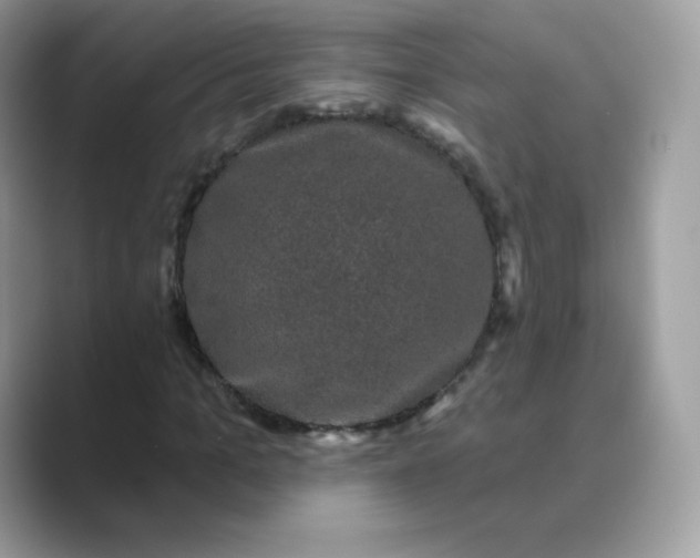 X0000089740965200707051754