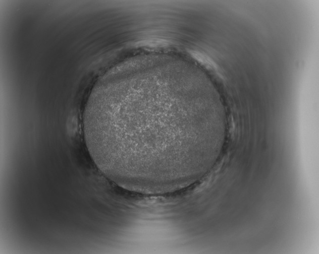 X0000089740966200707051754