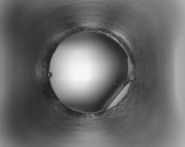 X0000089740968200707051754