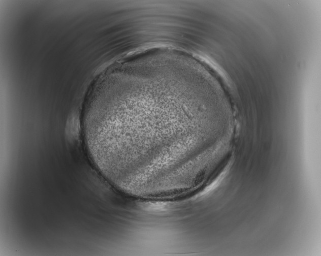 X0000089740969200707051754