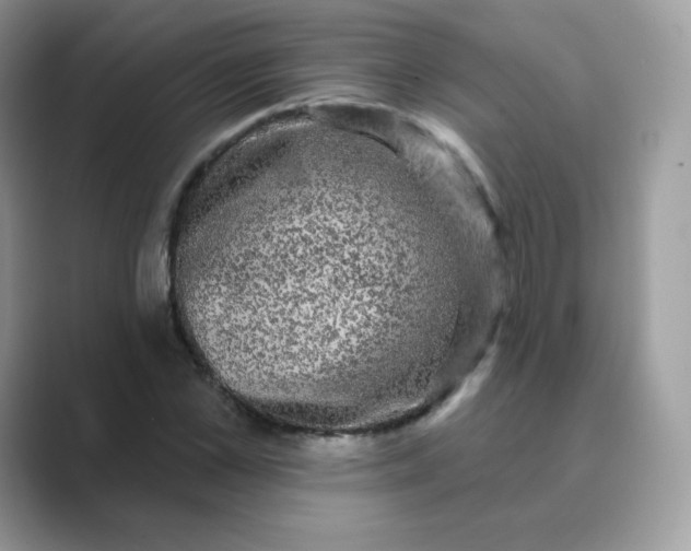 X0000089740973200707051754