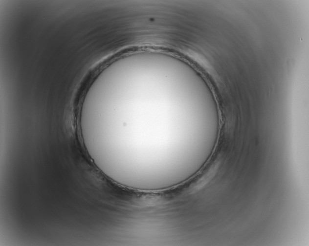 X0000089740974200707051754