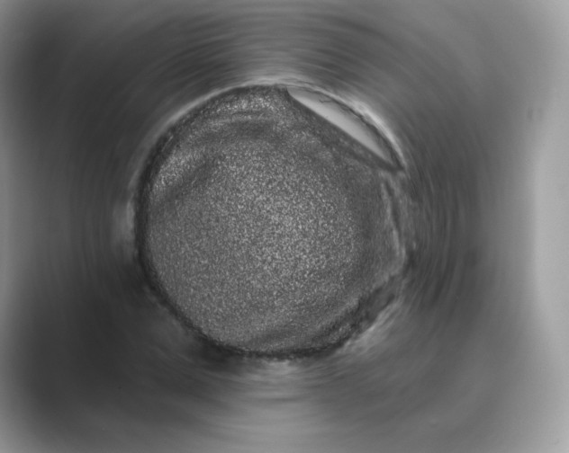 X0000089740975200707051754