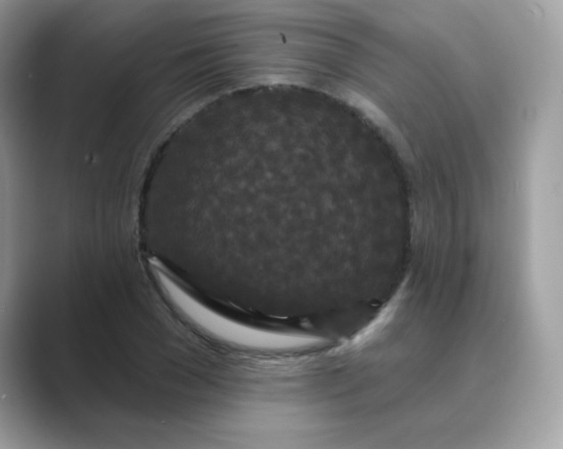 X0000089740977200707051754