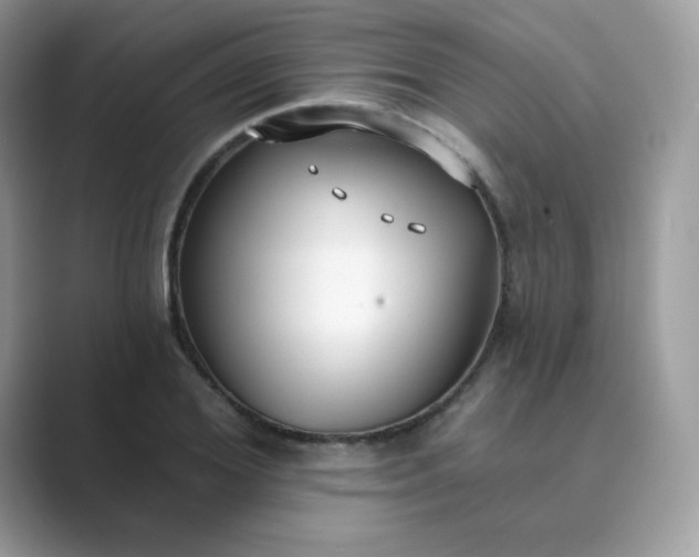 X0000089740980200707051754