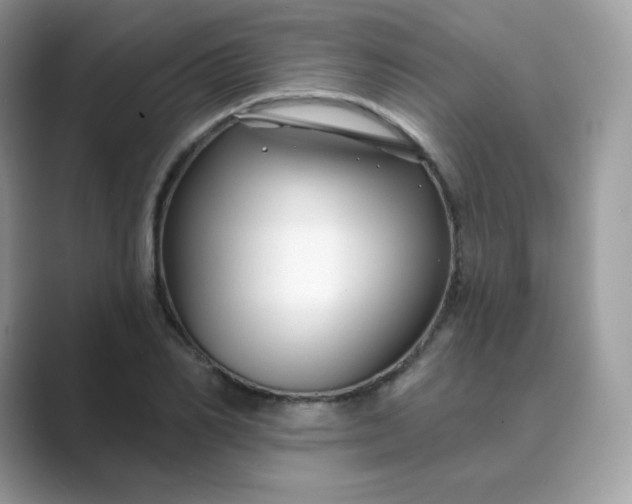 X0000089740982200707051754