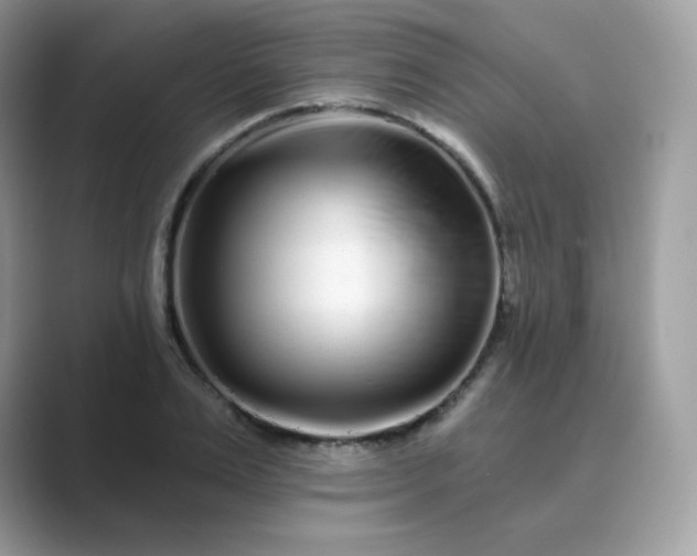 X0000089740983200707051754