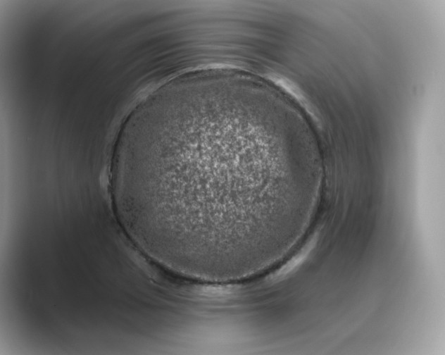 X0000089740985200707051754