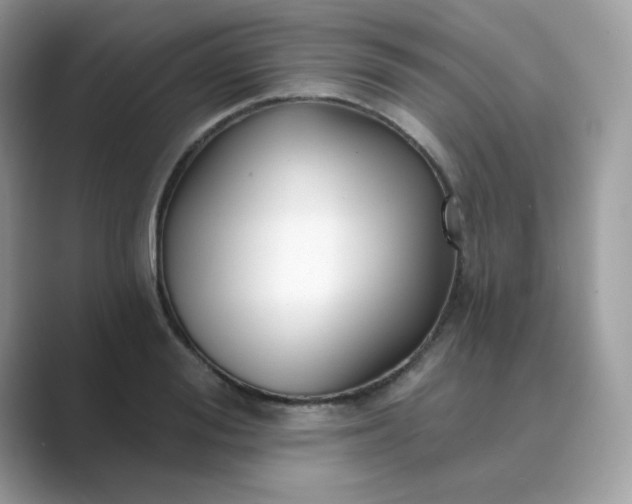 X0000089740988200707051754