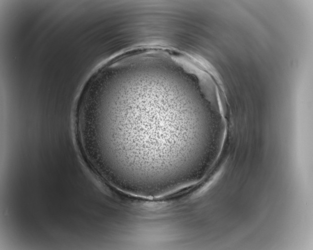 X0000089740989200707051754