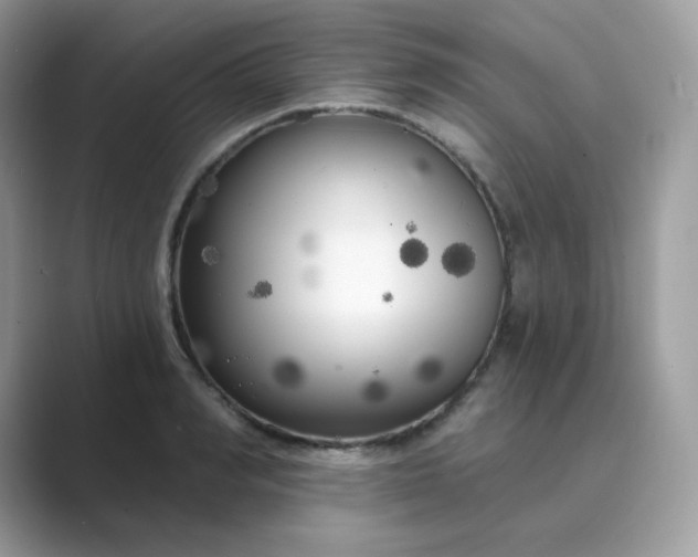 X0000089740990200707051754