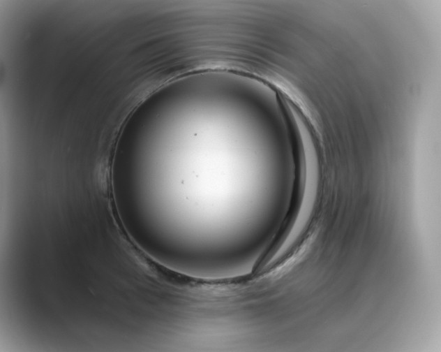 X0000089740993200707051754