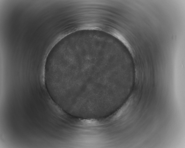 X0000089740994200707051754