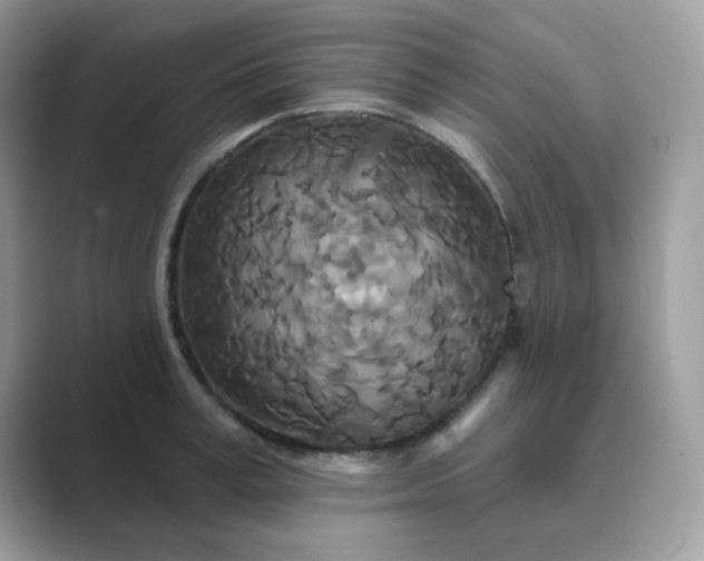 X0000089740995200707051754