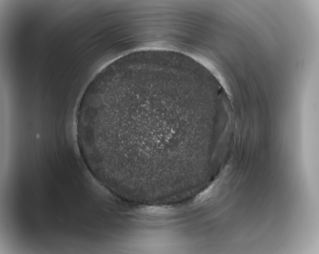 X0000089740998200707051753