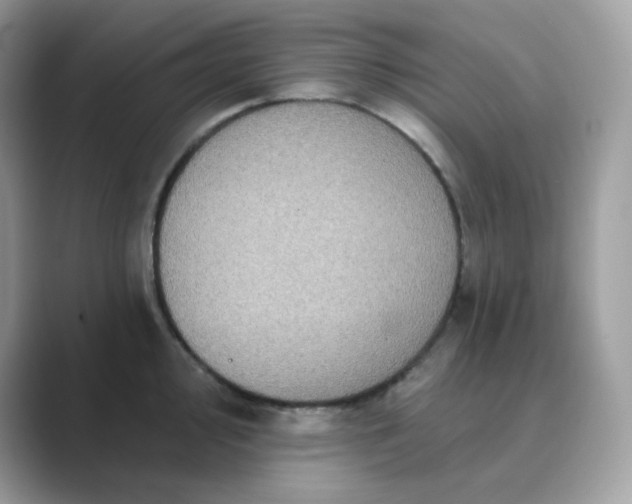 X0000089741000200707051753