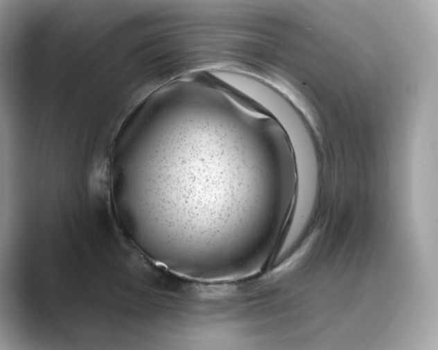 X0000089741001200707051753