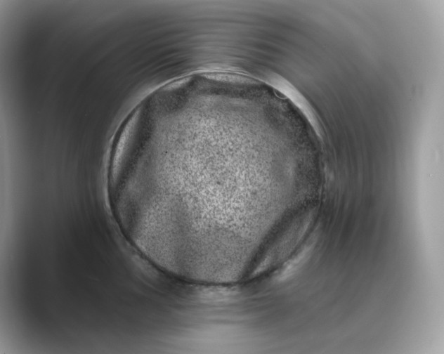 X0000089741002200707051753