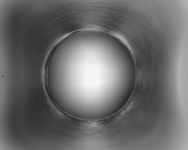 X0000089741003200707051753