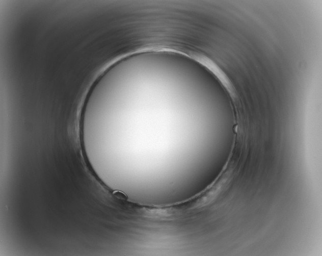 X0000089741004200707051753