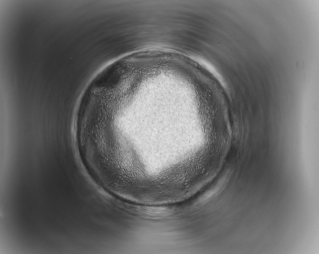 X0000089741007200707051753