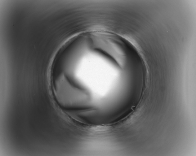 X0000089741008200707051753