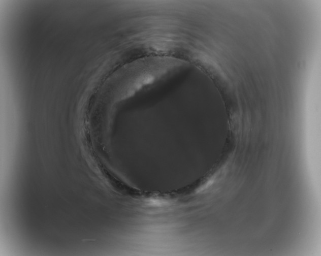 X0000089741009200707051753