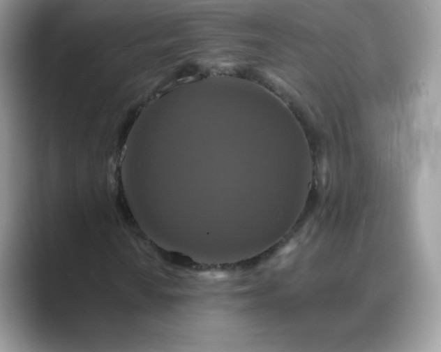 X0000089741010200707051753