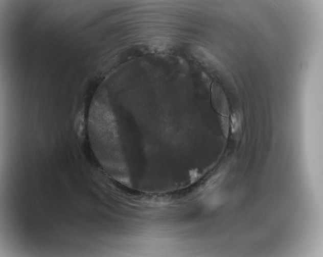 X0000089741011200707051753