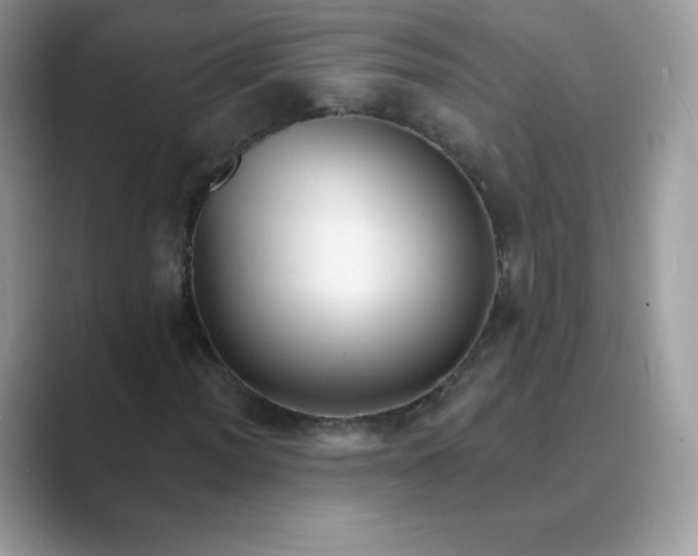 X0000089741012200707051753