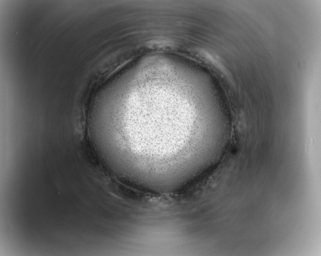 X0000089741015200707051753