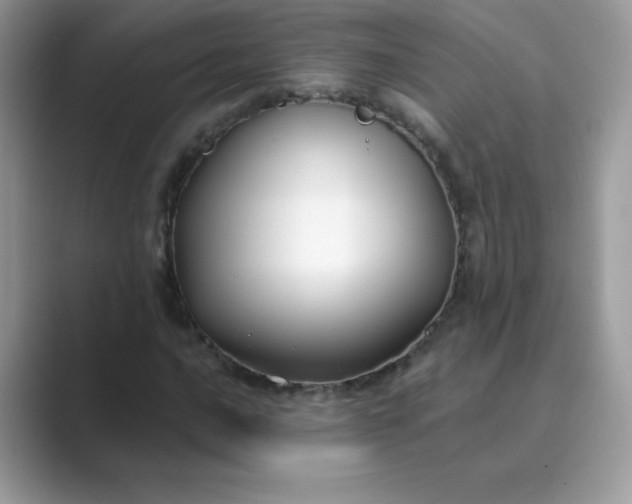 X0000089741016200707051753